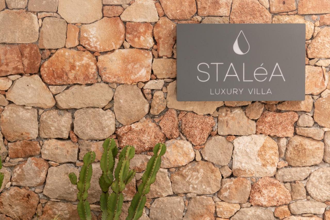 Pefki  Stalea Luxury Villa מראה חיצוני תמונה